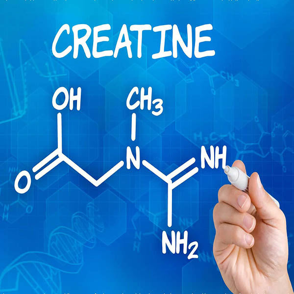 Creatine là gì