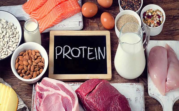 Protein thực vật là gì