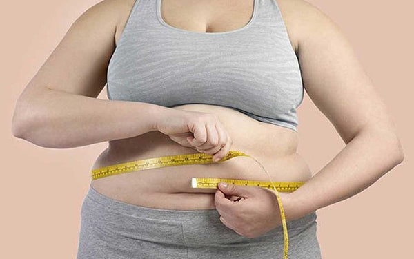 Thừa protein dẫn đến thừa cân, béo phì