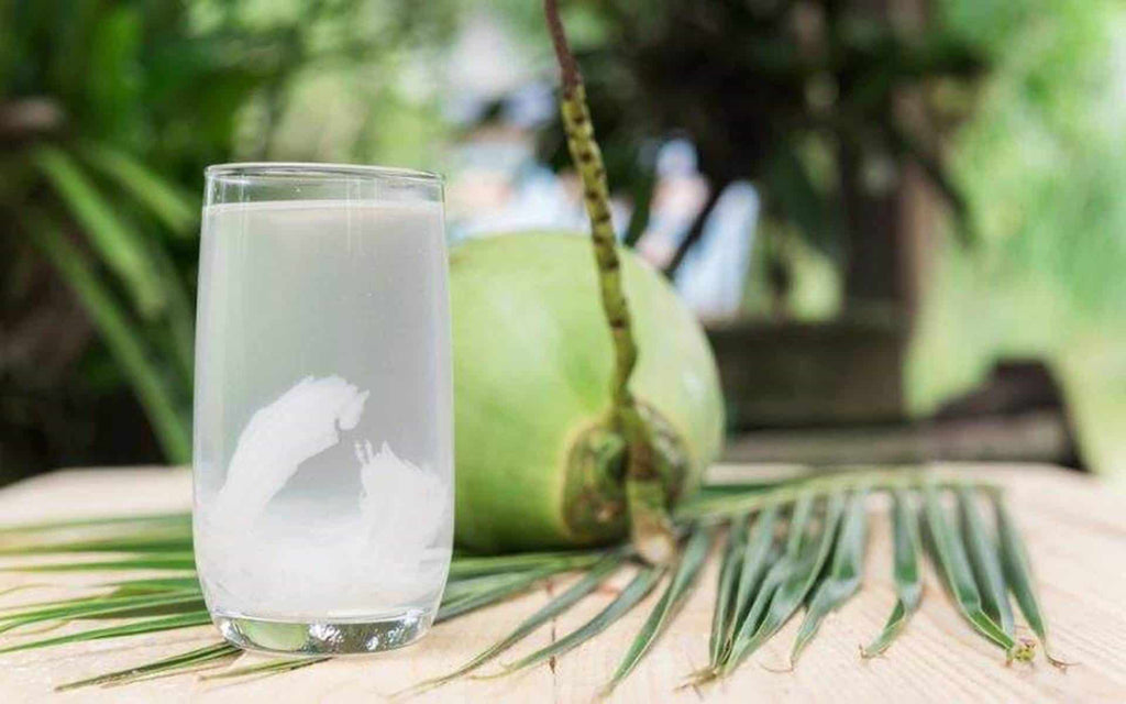 Uống nước dừa có giúp giảm cân không?