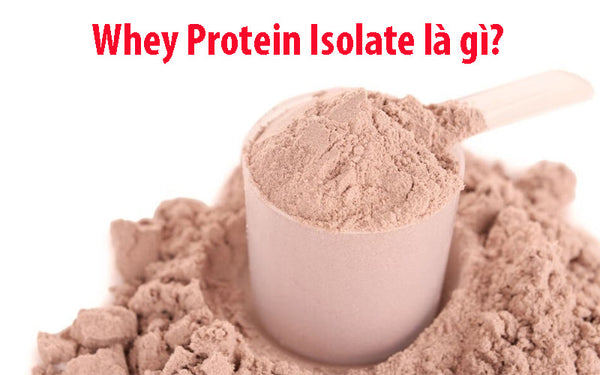 Whey Protein Isolate là  gì