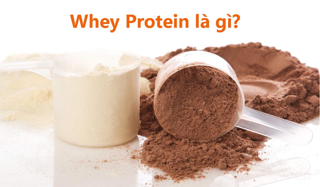 Whey Protein