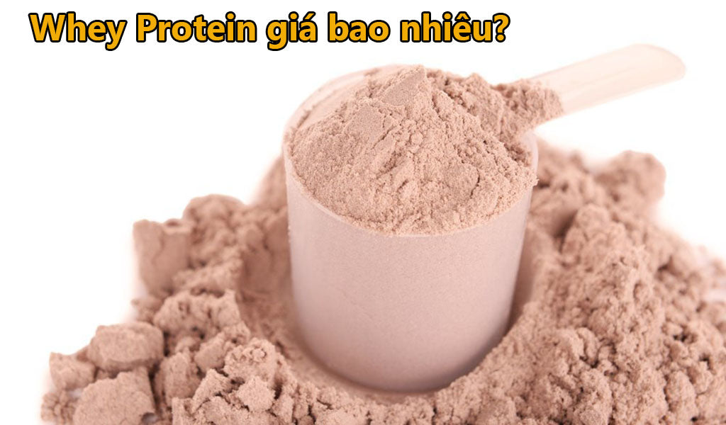 Giá Whey Protein có phù hợp với túi tiền của bạn?