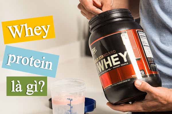 Hiểu rõ hơn về Whey protein