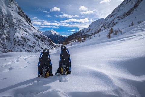 snowboards in snow