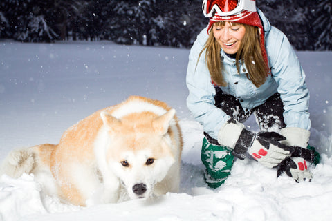 dog and snow