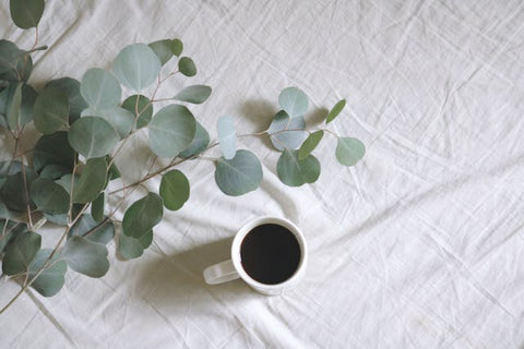 eucalyptus leaves and cup of tea