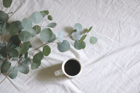 feuilles d'eucalyptus et tasse de thé