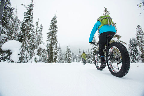 fat bike vs bicicleta de montaña