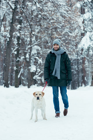 walking with dog in snow