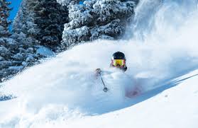 pow skier