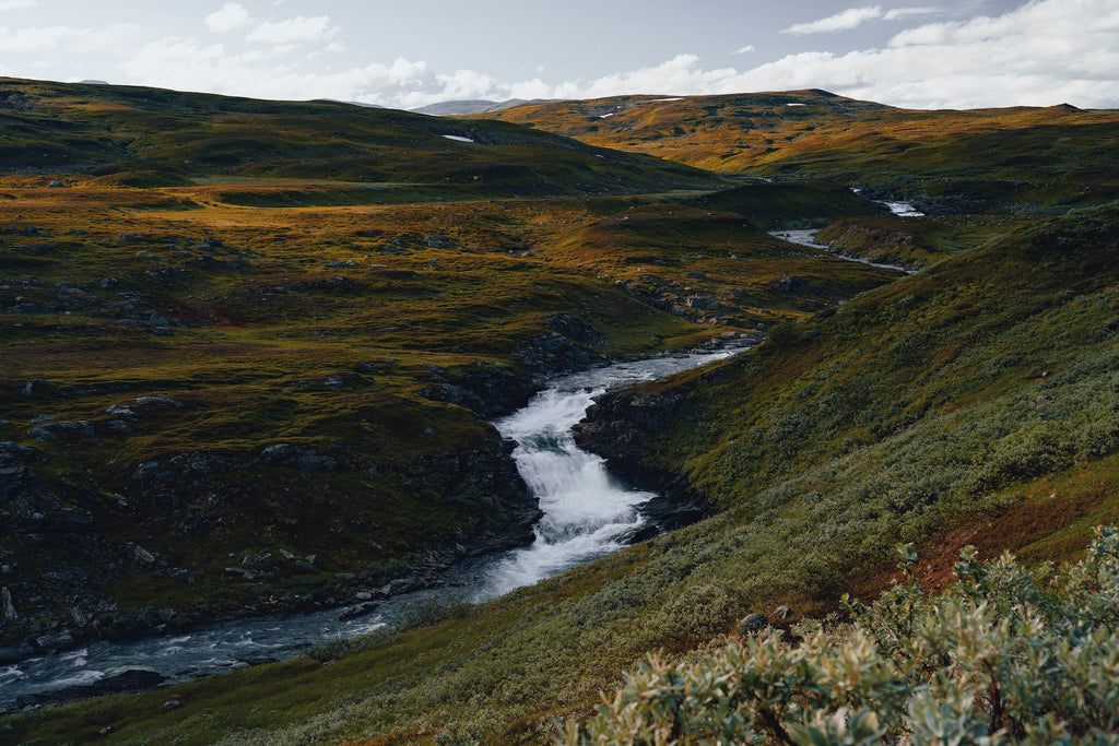 a river in nature