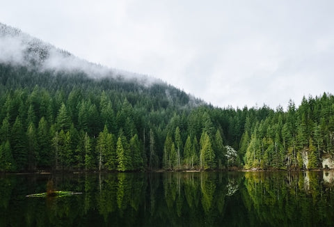 schöne Natur