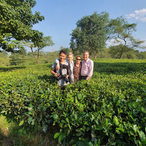 Tea Leaves Chai Assam India November 2019