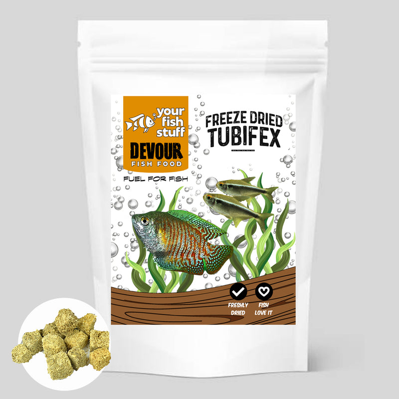 download tubifex fish food