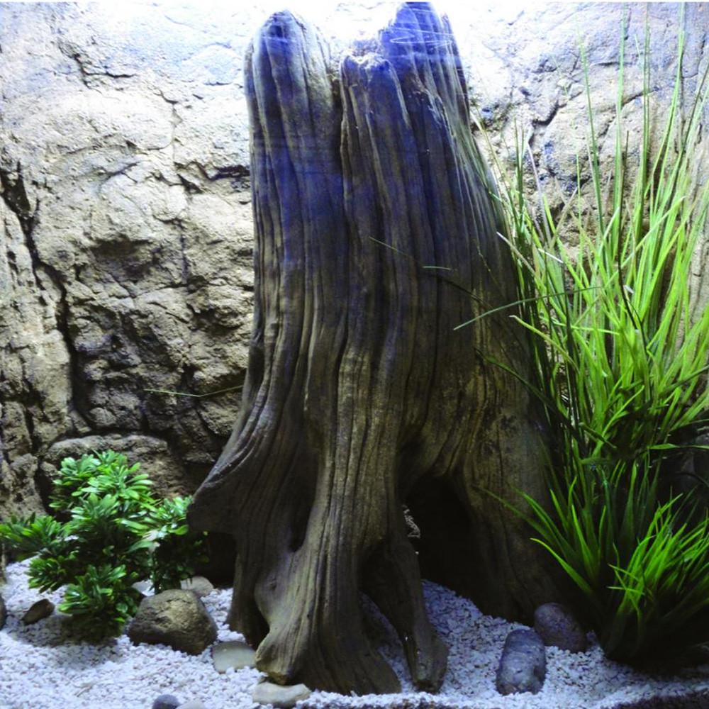 Toezicht houden bout Laan Tree Stumps – Your Fish Stuff