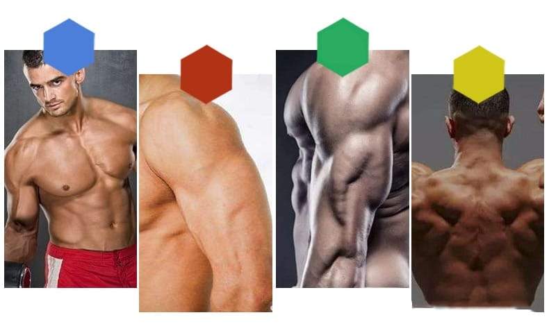 Tavola per flessioni 9 in 1 con esercizio di fitness multifunzione per body building