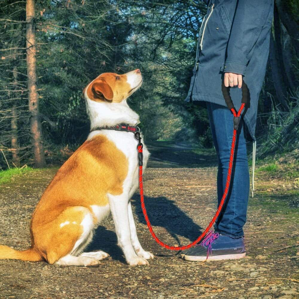 Perro reflectante Correa para mascotas Cuerda Nylon Perros pequeños Correas para cachorros 150cm