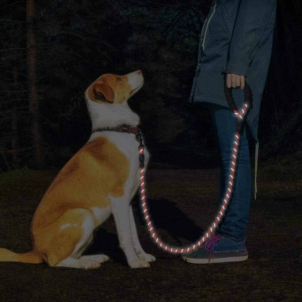 Reflective Dog Pet Leash Rope Nylon Small Dogs Puppy Leashes 150cm 