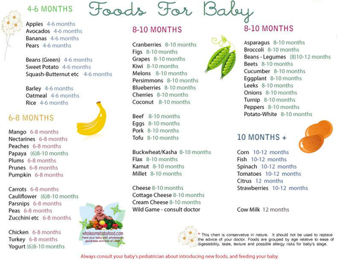 Tableau des aliments pour bébé pour commencer les solides