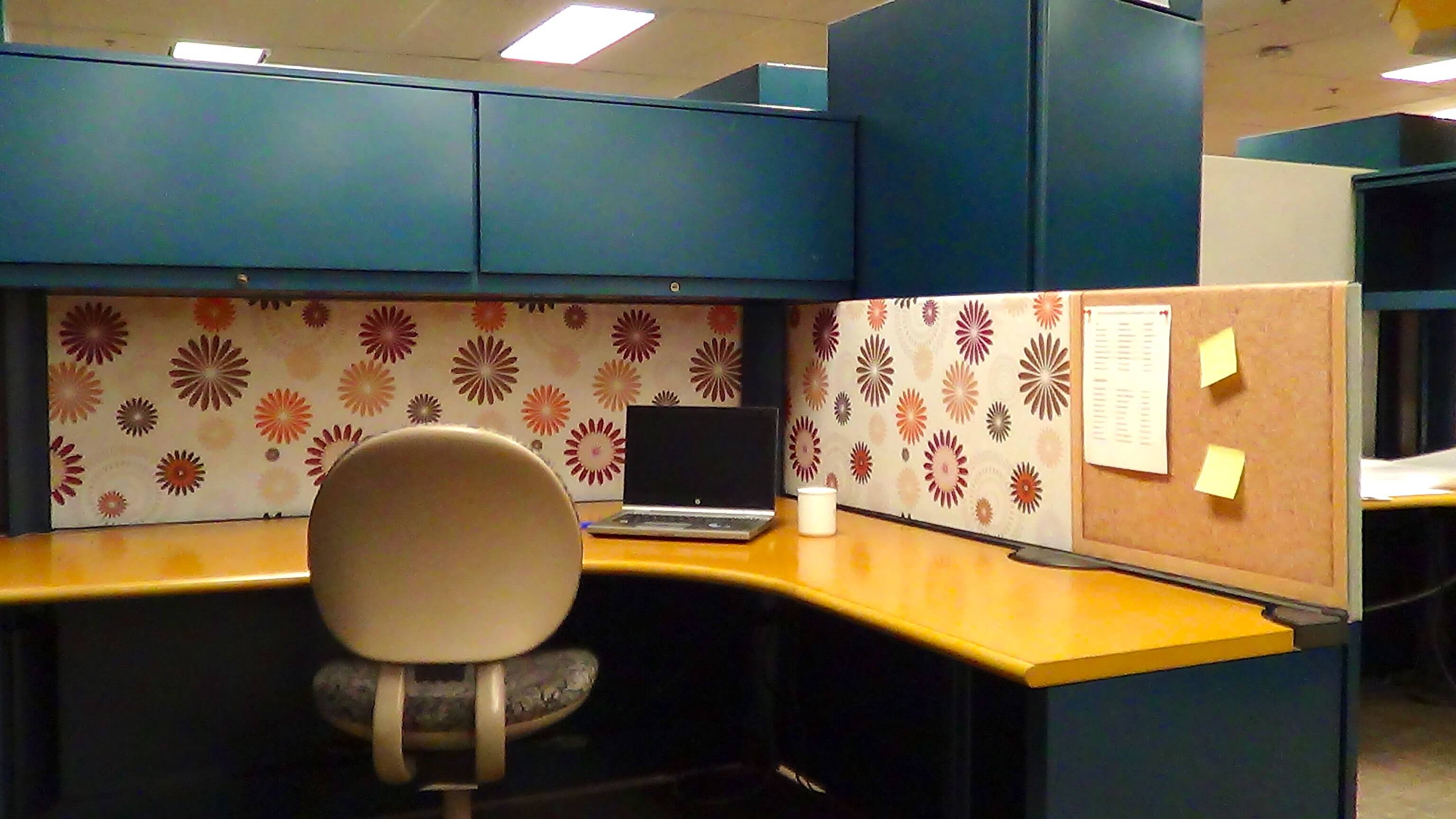 Removable cubicle wallpaper