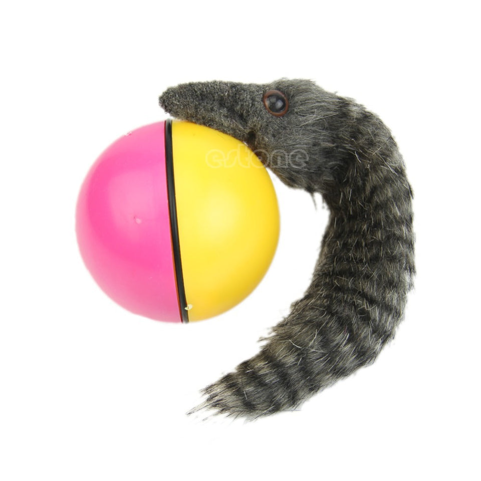 weasel ball