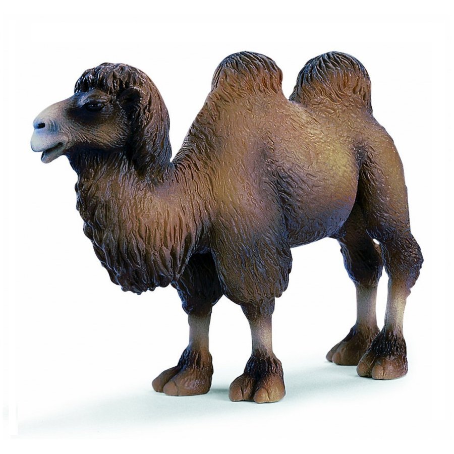 schleich camel