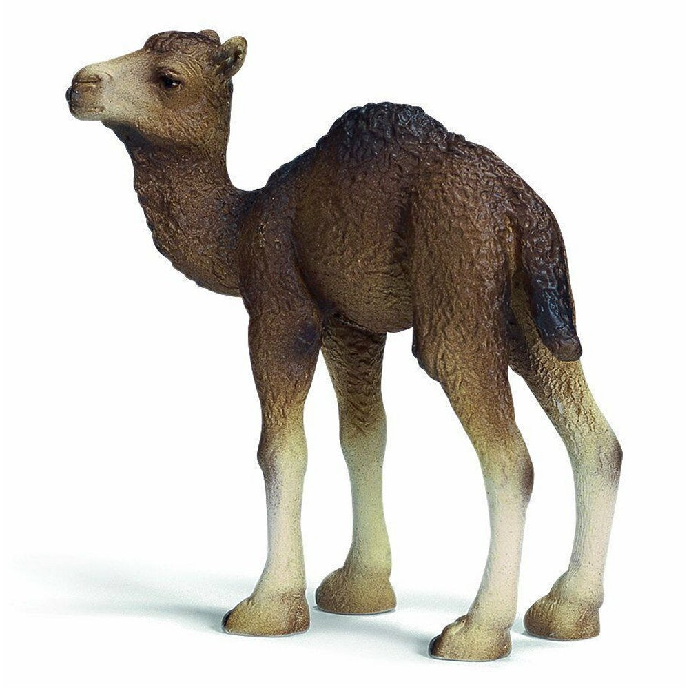 schleich camel