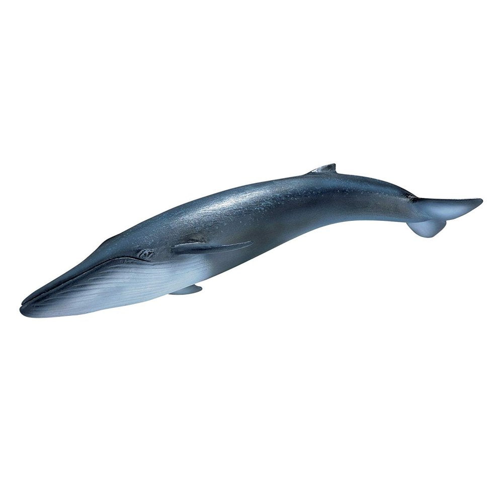 schleich whale