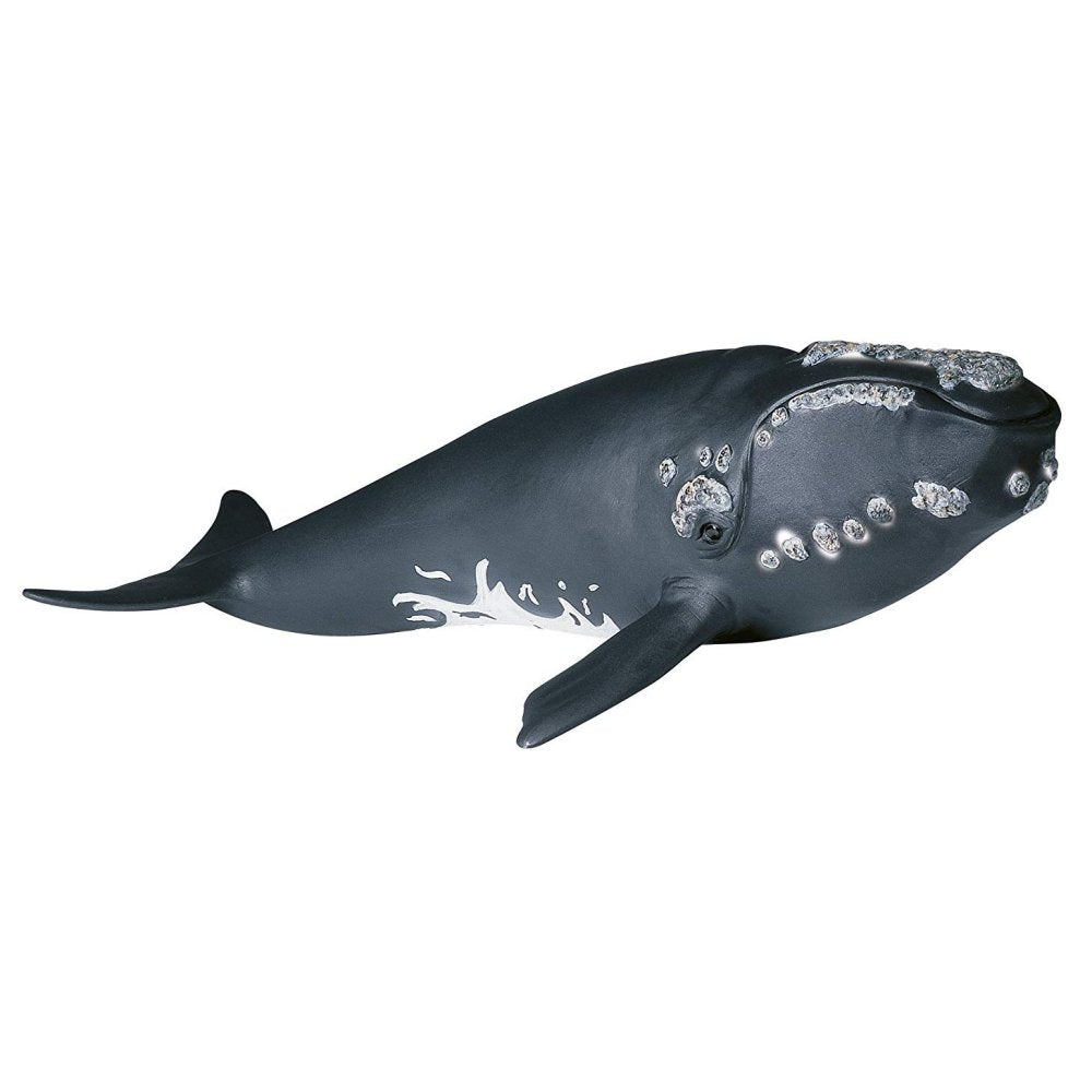 schleich humpback whale