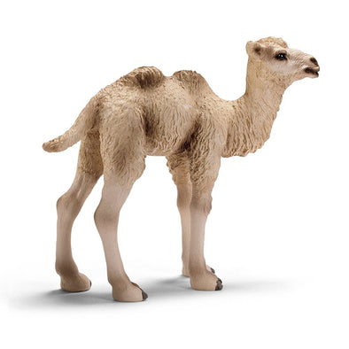 schleich camel