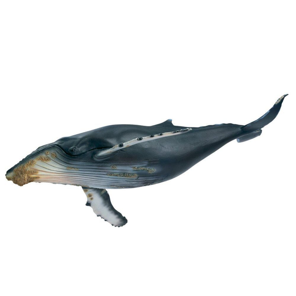 schleich humpback whale