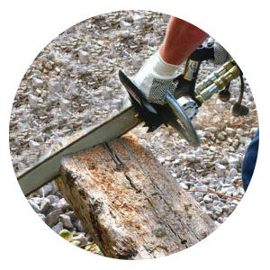 CS06 Chain Saw