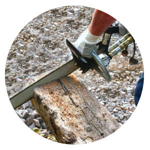 Wood Cutting Chainsaw