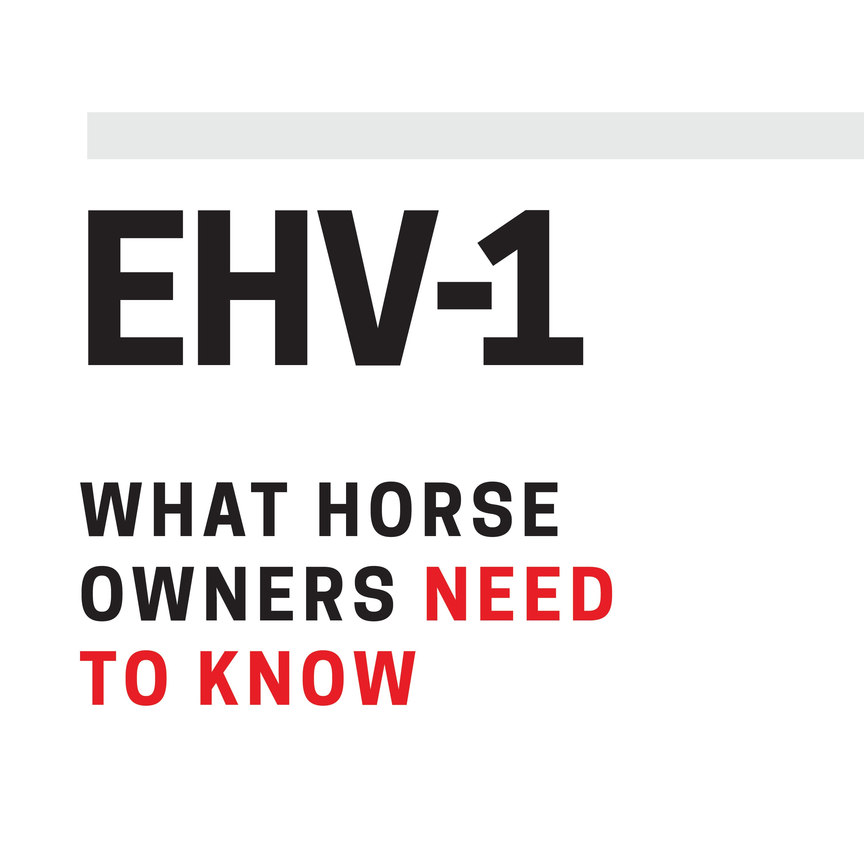 What You Need To Know about EHV1 in Horses