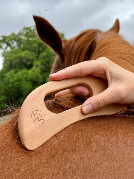 Helping Hand Horse Massage Tool