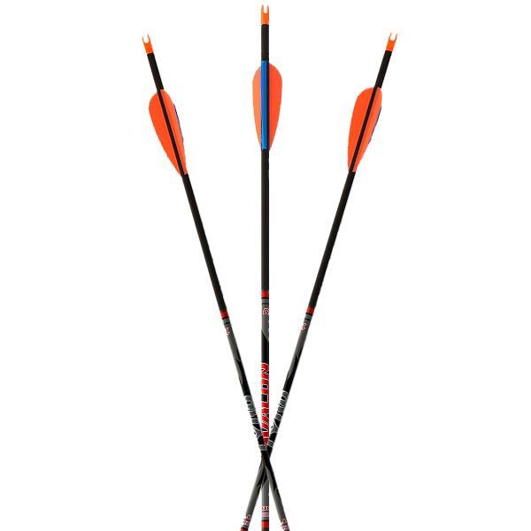 Avalon Tyro Carbon Arrow (Fletched w/Vanes) — Canada Archery Online