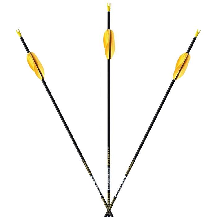 Easton X10 Arrow (shafts)