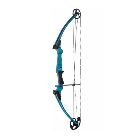 Mini Compound Bow Youth Bow ,Bow and Arrow Set for Archery Hunting Target Bowfishing  Bow Kit with 1 Fishing Reel and 5 Arrows, Compound Bows -  Canada