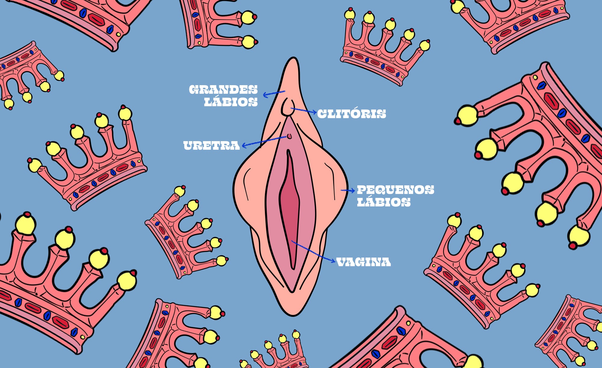 Ilustração de uma vagina com setas apontando suas partes para melhor uso do vibrador bullet. Fundo azul claro com muitas coroas 