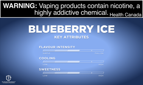 Vuse Go Disposable Blueberry ice . BRIGHT BLUEBERRY FLAVOUR WITH AN ICY COOL TWIST. Mister Vapor Cananda