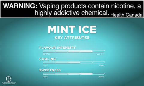 BUY VUSE GO DISPOSABLE  MINT ICE CLASSIC PEPPERMINT FLAVOUR WITH AN ICY COOL TWIST. MISTER VAPOR CANADA