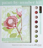 Paint By Numbers Kits