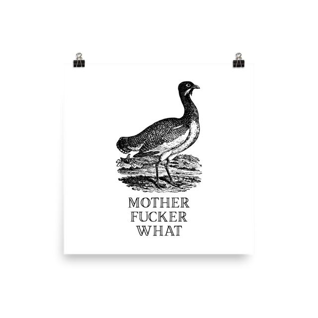 Mother Fucker What Poster Effin Birds 7609