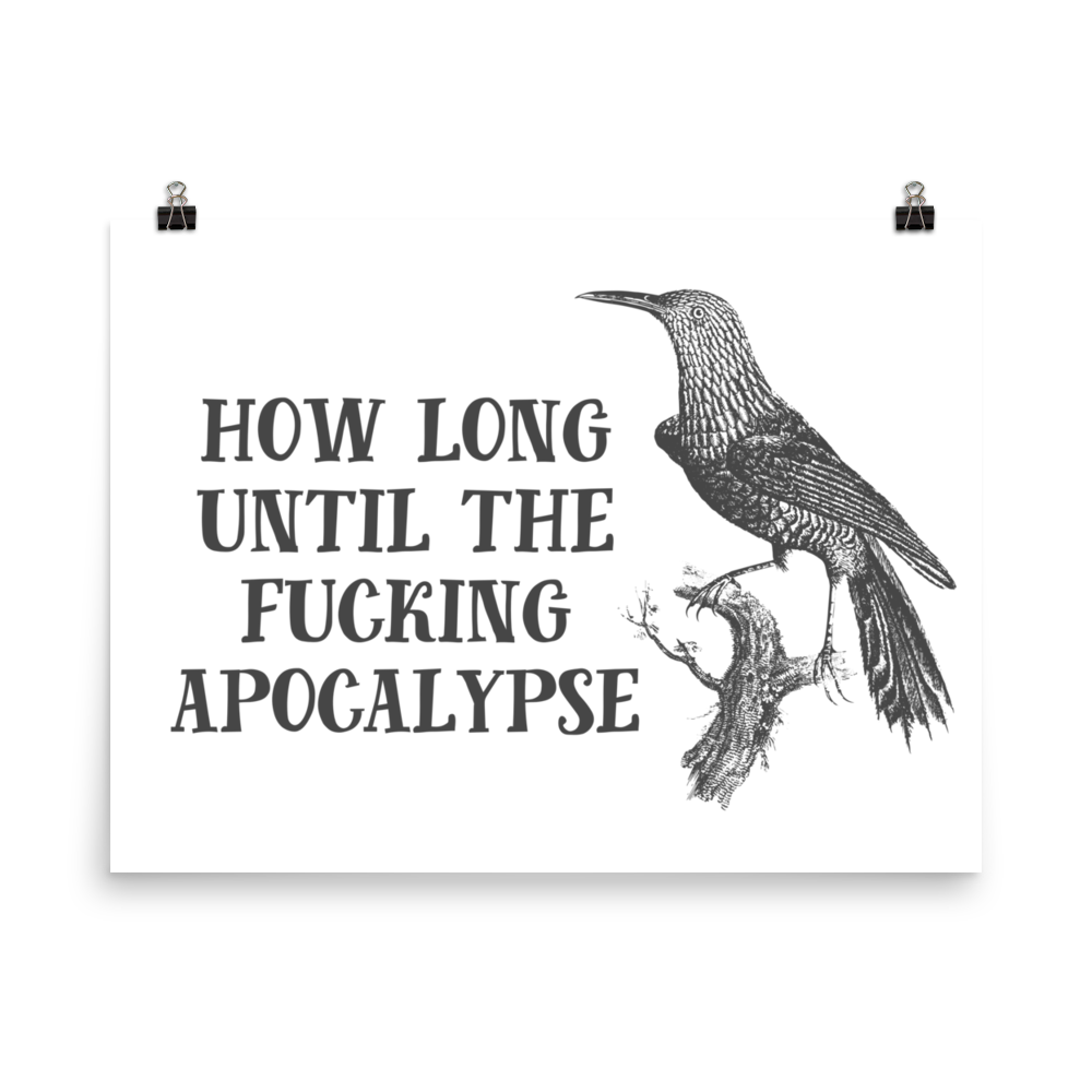 How Long Until The Fucking Apocalypse Print Effin Birds 4897