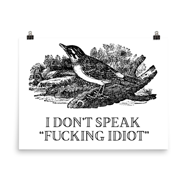 Idiot Poster – EFFIN BIRDS