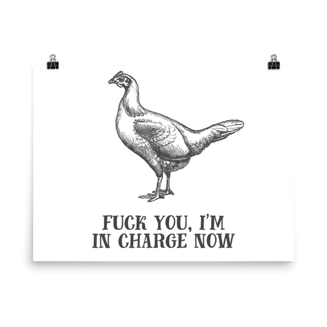In Charge Poster – EFFIN BIRDS