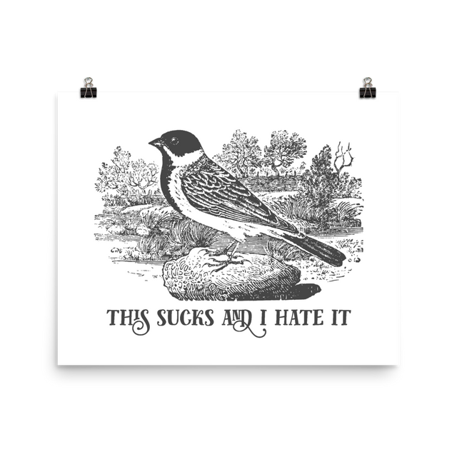 This Sucks And I Hate It Poster – EFFIN BIRDS