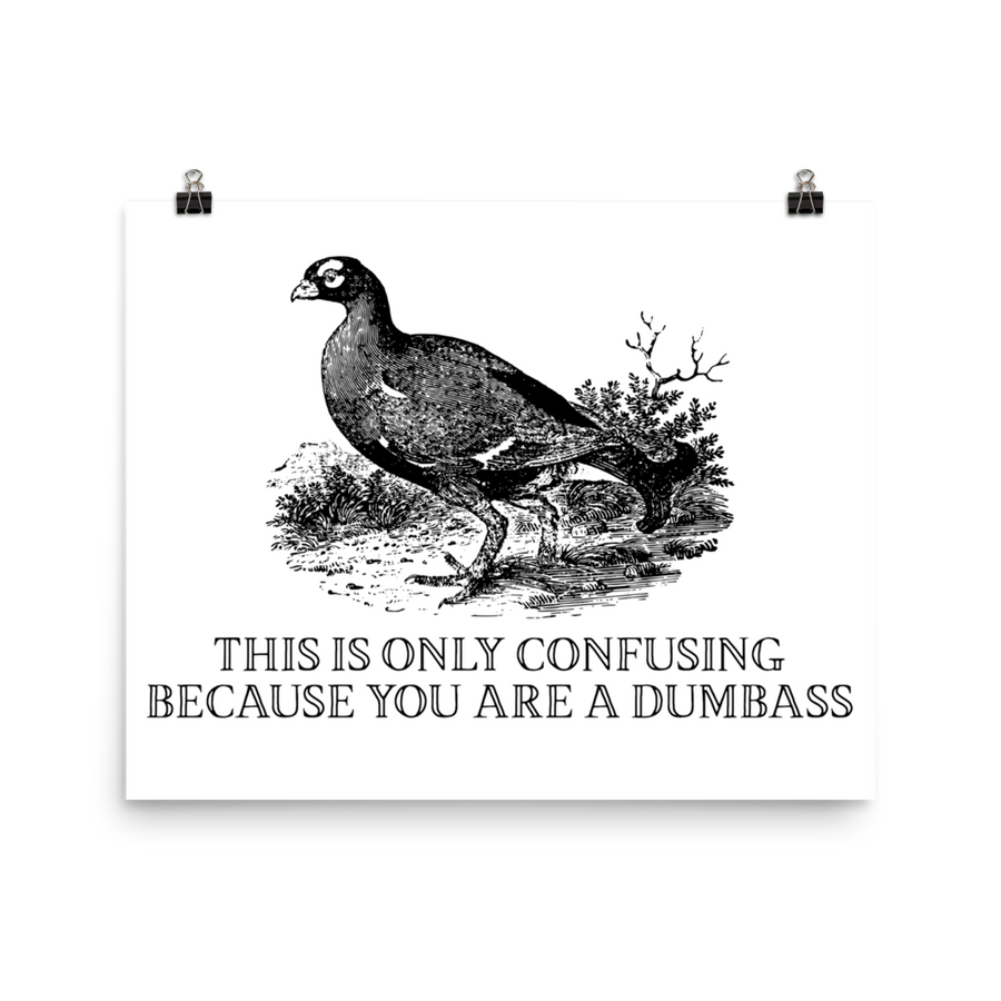 Dumbass Poster – EFFIN BIRDS