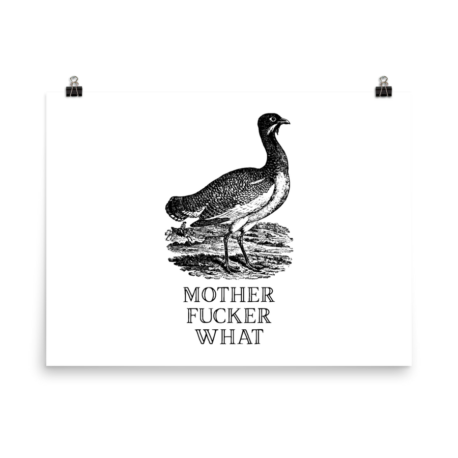 Mother Fucker What Poster Effin Birds 0766